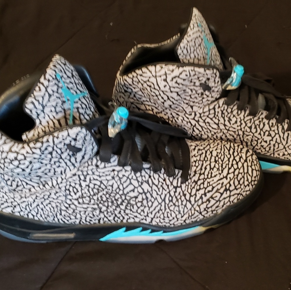 Jordan 3Lab5 - Picture 3 of 8